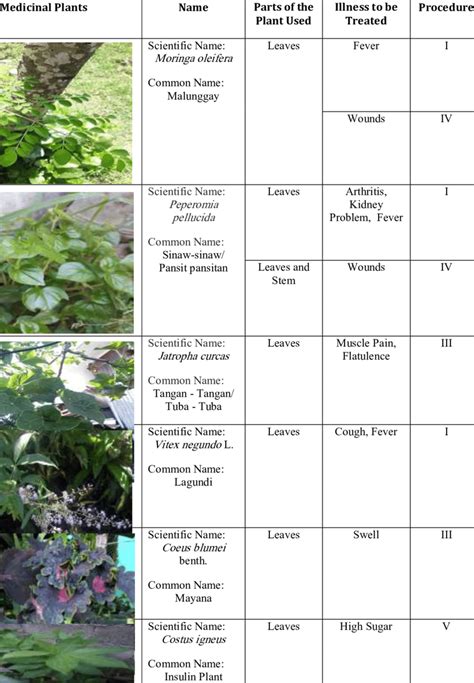 LIST OF PHILIPPINE MEDICINAL PLANTS IN ENGLISH AND .